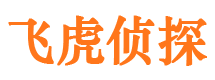 成安市调查公司